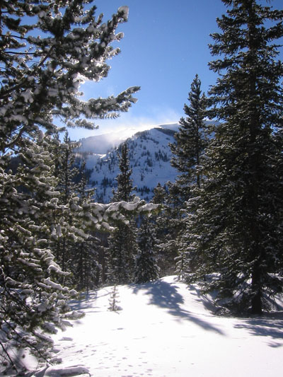 Backcountry Skiing in Central Colorado